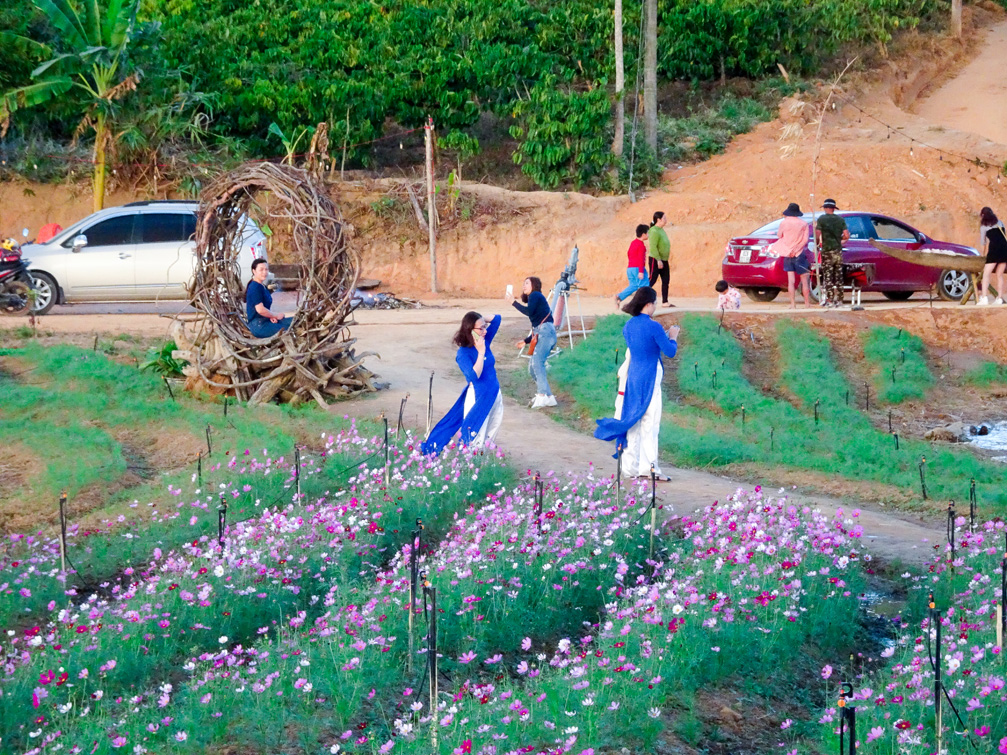 Vườn hoa Long Loi | Đăk Hà Kon Tum